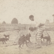 houndsconvict.jpg