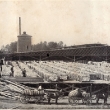 sbancottoncompress037.jpg